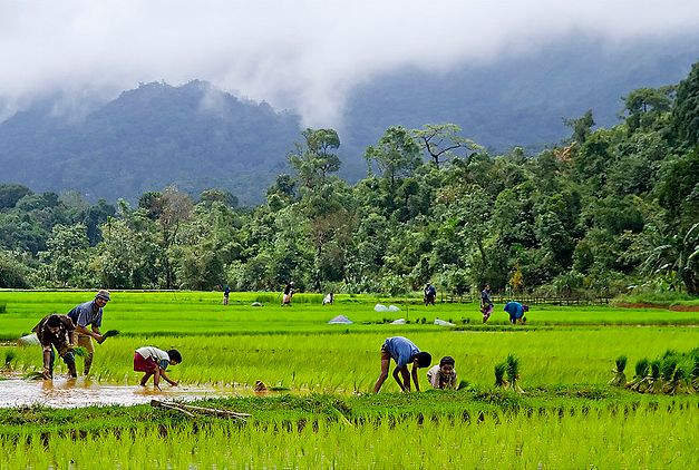 Local community engagement in Arunachal eco-stay